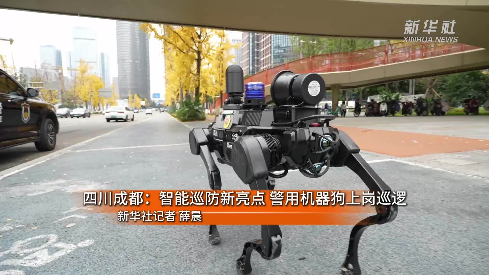 全国政协委员乔红:国家电网机器人应用做得非常好-机器人(图1)